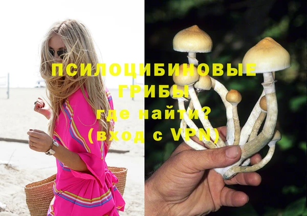 трава Алзамай
