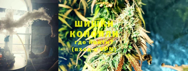 винт Абаза
