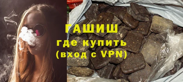 хмурый Алексин