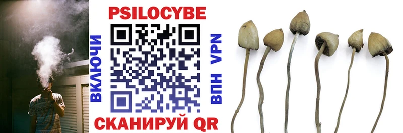 площадка как зайти  Кумертау  Галлюциногенные грибы MAGIC MUSHROOMS  дарнет шоп 
